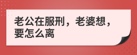 老公在服刑，老婆想，要怎么离