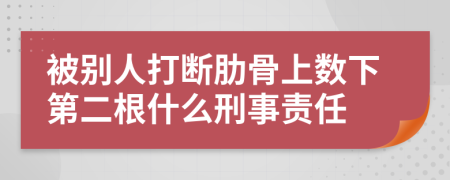 被别人打断肋骨上数下第二根什么刑事责任