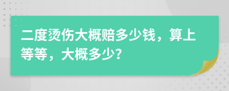 二度烫伤大概赔多少钱，算上等等，大概多少？