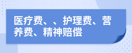 医疗费、、护理费、营养费、精神赔偿