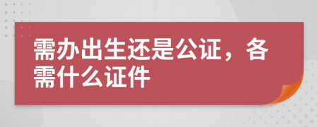 需办出生还是公证，各需什么证件