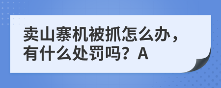 卖山寨机被抓怎么办，有什么处罚吗？A