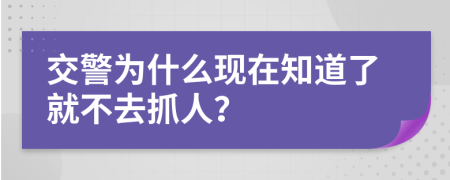 交警为什么现在知道了就不去抓人？