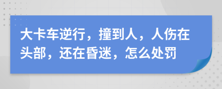 大卡车逆行，撞到人，人伤在头部，还在昏迷，怎么处罚