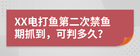 XX电打鱼第二次禁鱼期抓到，可判多久？