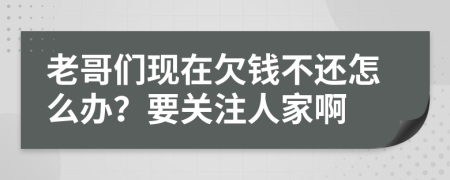 老哥们现在欠钱不还怎么办？要关注人家啊