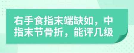 右手食指末端缺如，中指末节骨折，能评几级