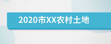 2020市XX农村土地