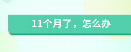 11个月了，怎么办