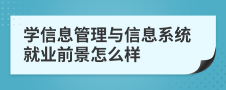 学信息管理与信息系统就业前景怎么样