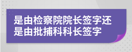 是由检察院院长签字还是由批捕科科长签字