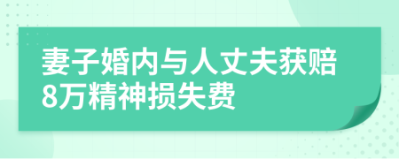 妻子婚内与人丈夫获赔8万精神损失费