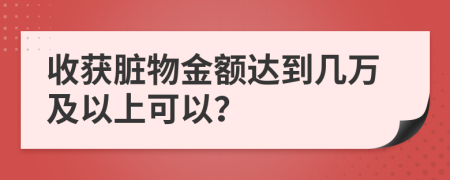 收获脏物金额达到几万及以上可以？