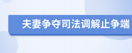 夫妻争夺司法调解止争端