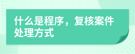 什么是程序，复核案件处理方式