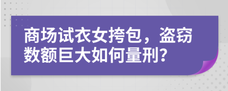 商场试衣女挎包，盗窃数额巨大如何量刑？