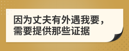 因为丈夫有外遇我要，需要提供那些证据