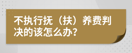 不执行抚（扶）养费判决的该怎么办？