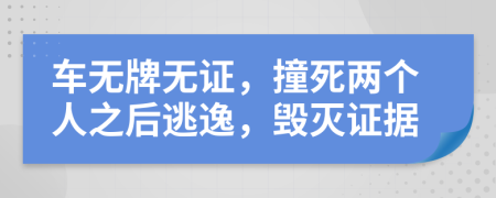 车无牌无证，撞死两个人之后逃逸，毁灭证据