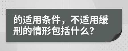 的适用条件，不适用缓刑的情形包括什么？