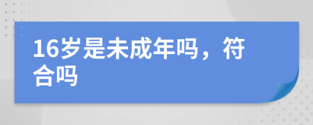 16岁是未成年吗，符合吗