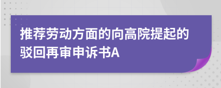 推荐劳动方面的向高院提起的驳回再审申诉书A