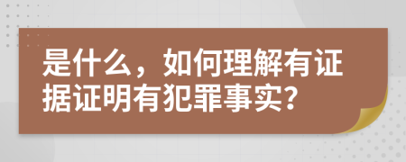 是什么，如何理解有证据证明有犯罪事实？