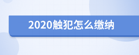 2020触犯怎么缴纳