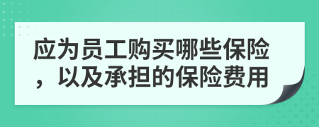 应为员工购买哪些保险，以及承担的保险费用