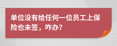 单位没有给任何一位员工上保险也未签，咋办？