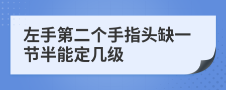 左手第二个手指头缺一节半能定几级