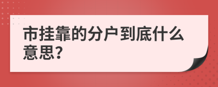 市挂靠的分户到底什么意思？