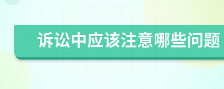 诉讼中应该注意哪些问题