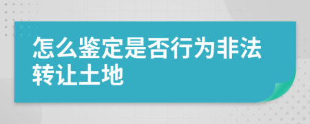 怎么鉴定是否行为非法转让土地