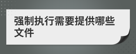 强制执行需要提供哪些文件