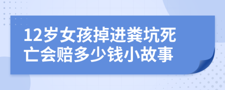 12岁女孩掉进粪坑死亡会赔多少钱小故事