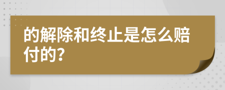 的解除和终止是怎么赔付的？