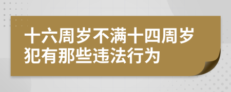 十六周岁不满十四周岁犯有那些违法行为