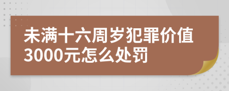 未满十六周岁犯罪价值3000元怎么处罚