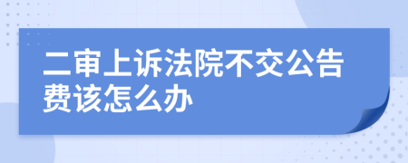 二审上诉法院不交公告费该怎么办