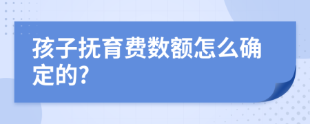 孩子抚育费数额怎么确定的?