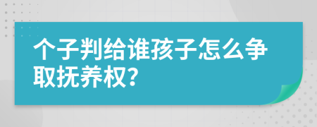 个子判给谁孩子怎么争取抚养权？