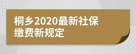 桐乡2020最新社保缴费新规定