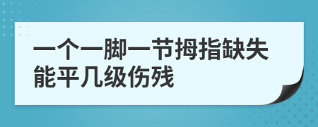 一个一脚一节拇指缺失能平几级伤残