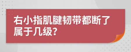 右小指肌腱韧带都断了属于几级？