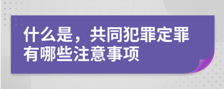 什么是，共同犯罪定罪有哪些注意事项