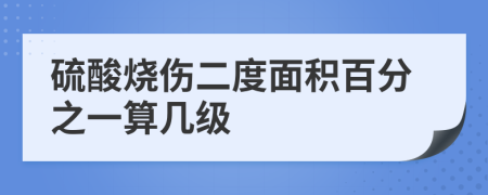 硫酸烧伤二度面积百分之一算几级