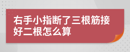 右手小指断了三根筋接好二根怎么算