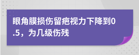 眼角膜损伤留疤视力下降到0.5，为几级伤残