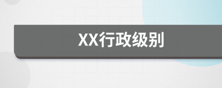 XX行政级别